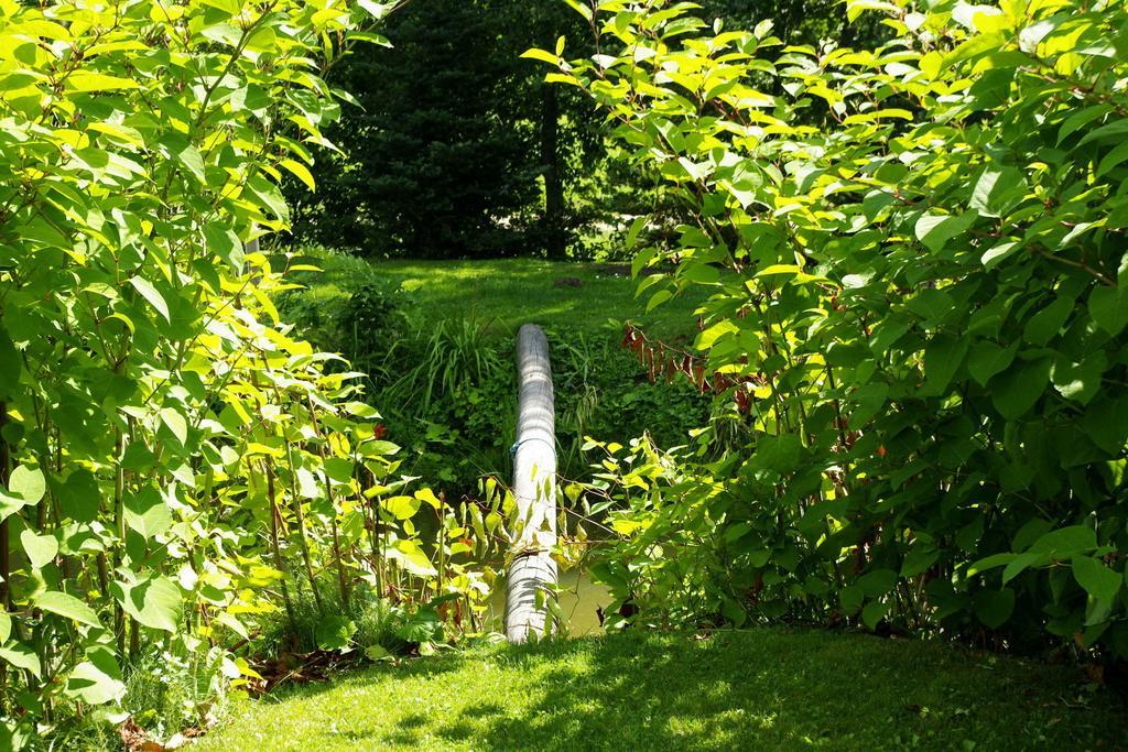Udumaee Holiday Farm Kirikuküla Екстериор снимка